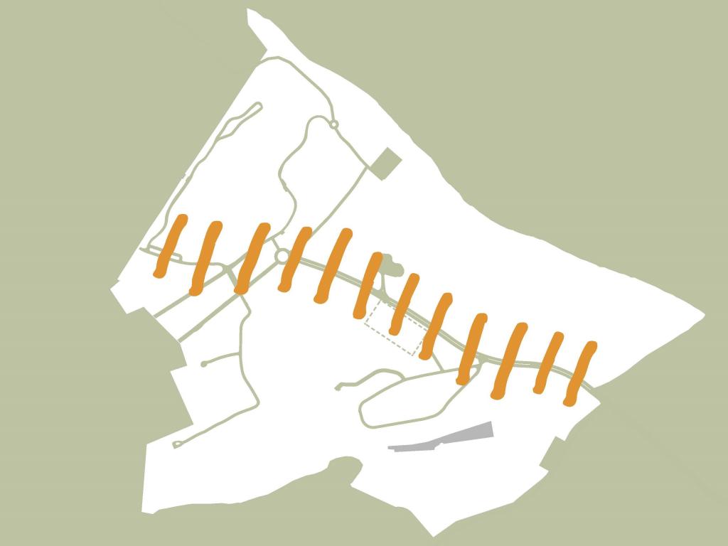 Zilker Metropolitan Park Vision Plan AustinTexas.gov